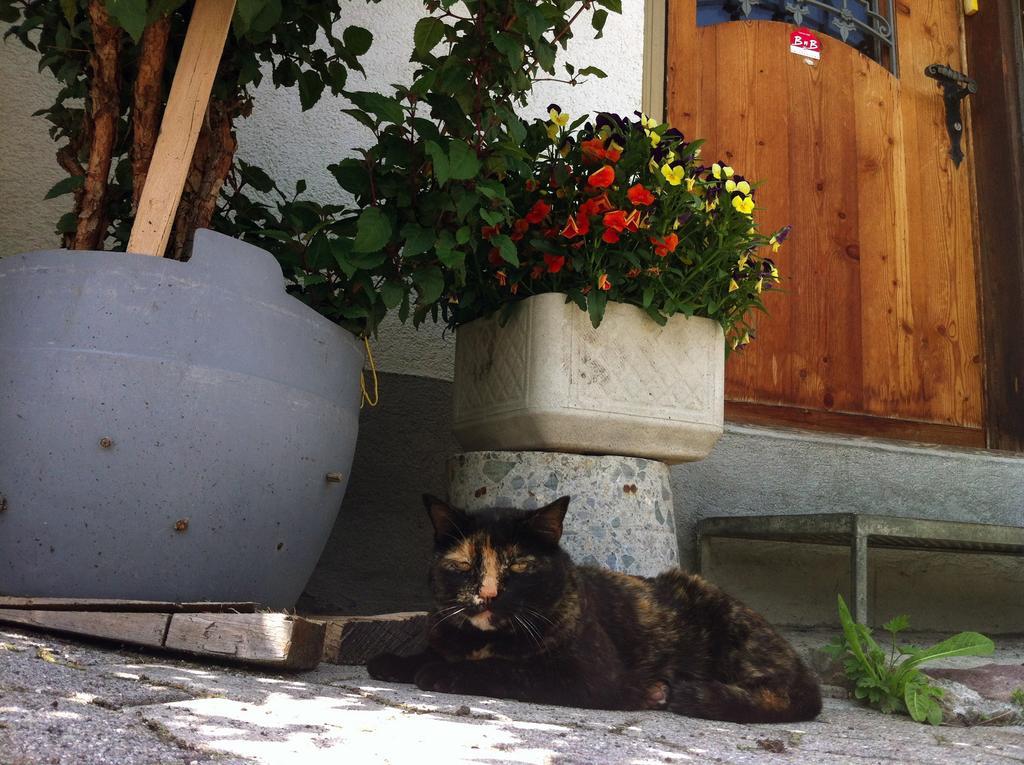 Bnb Guesthouse Lusi Frauenkirch Екстер'єр фото